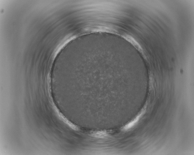 X0000066530798200603241400