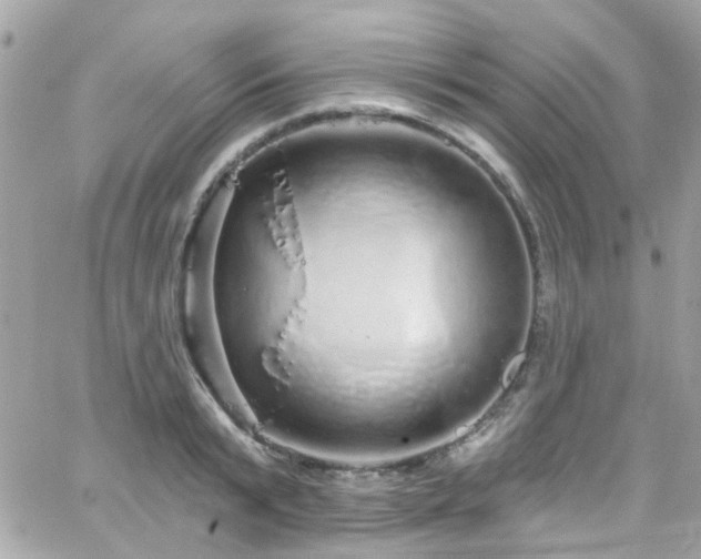 X0000066530799200603241400