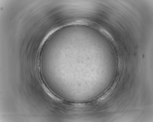 X0000066530800200603241400