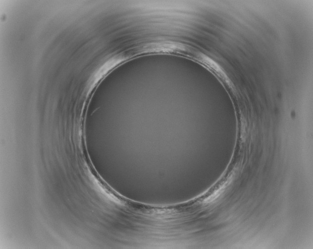 X0000066530802200603241400