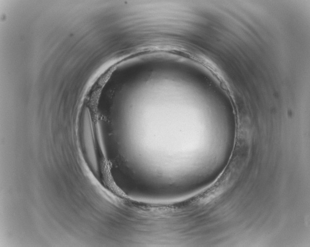 X0000066530803200603241400