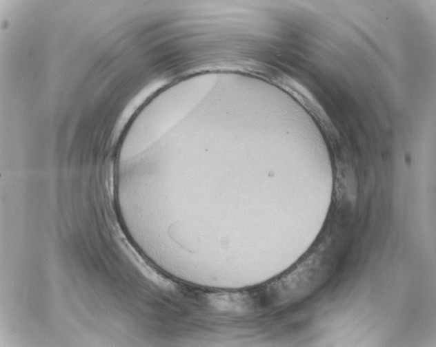 X0000066530804200603241400