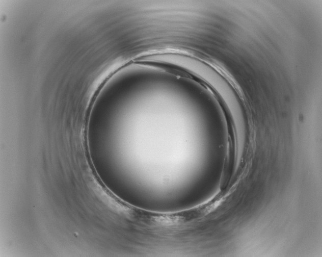 X0000066530805200603241400