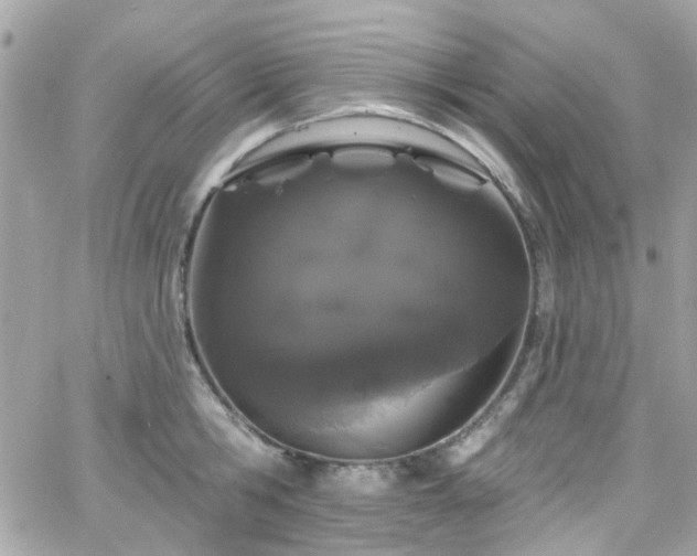 X0000066530806200603241400