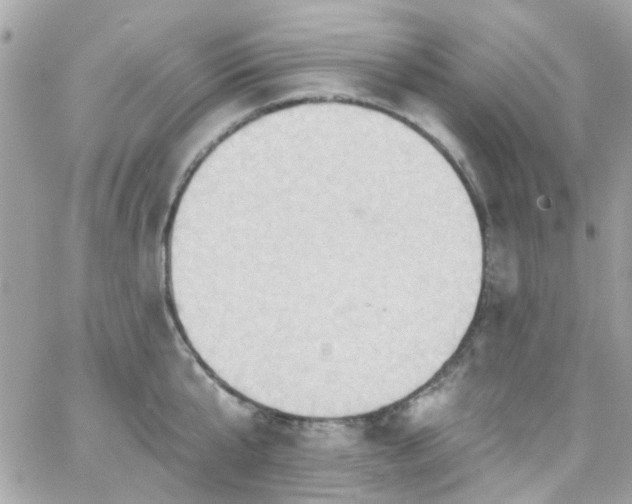 X0000066530807200603241400