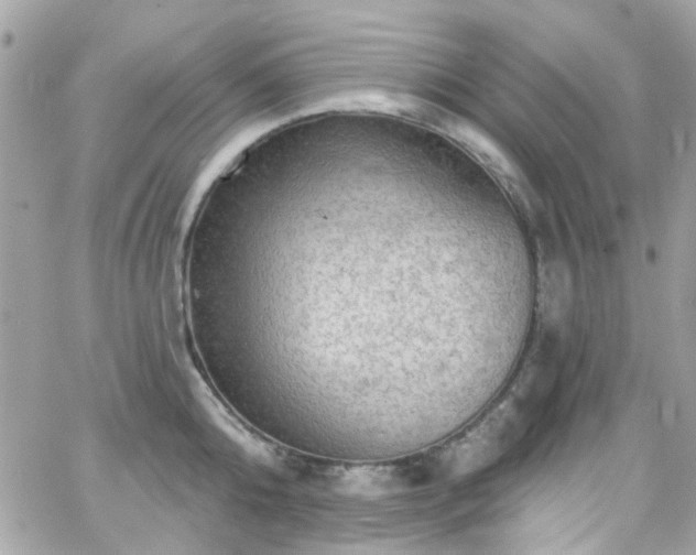 X0000066530808200603241400