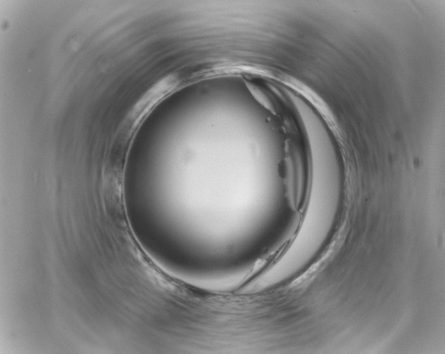 X0000066530809200603241400