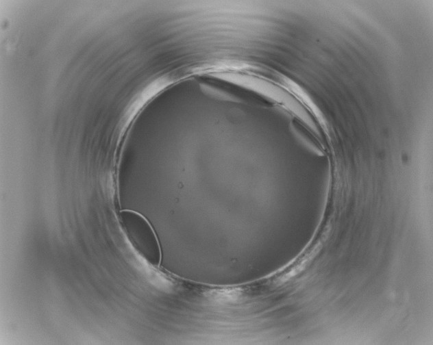 X0000066530810200603241400