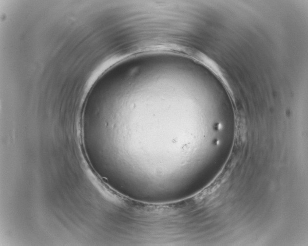 X0000066530811200603241400