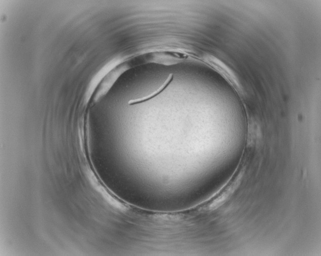 X0000066530812200603241400