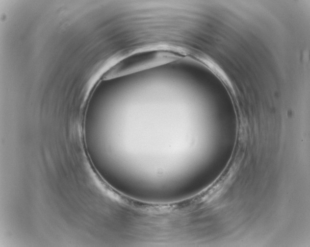 X0000066530813200603241400