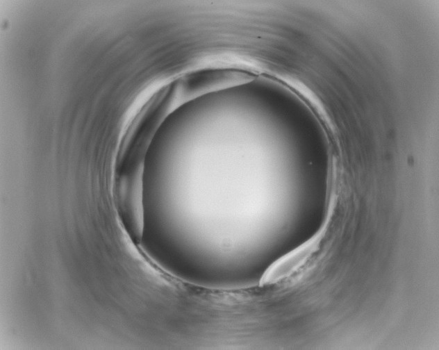 X0000066530815200603241400