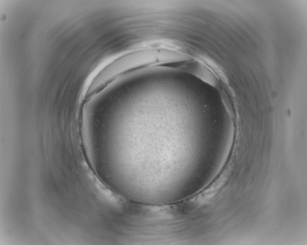 X0000066530816200603241400