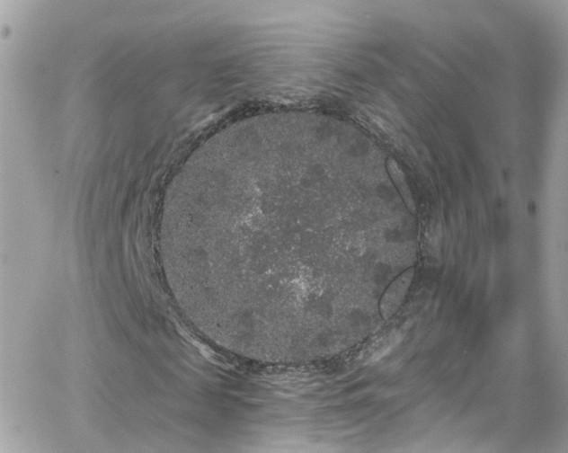 X0000066530817200603241359