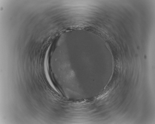 X0000066530818200603241359