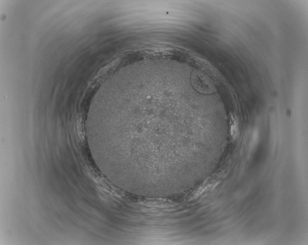 X0000066530819200603241359