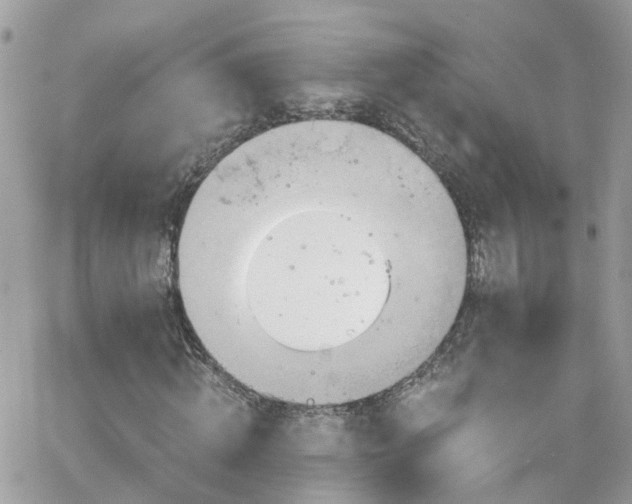 X0000066530820200603241359