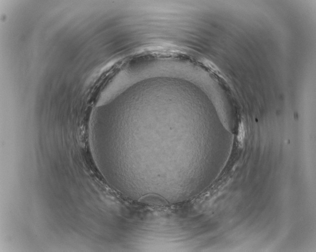 X0000066530822200603241359