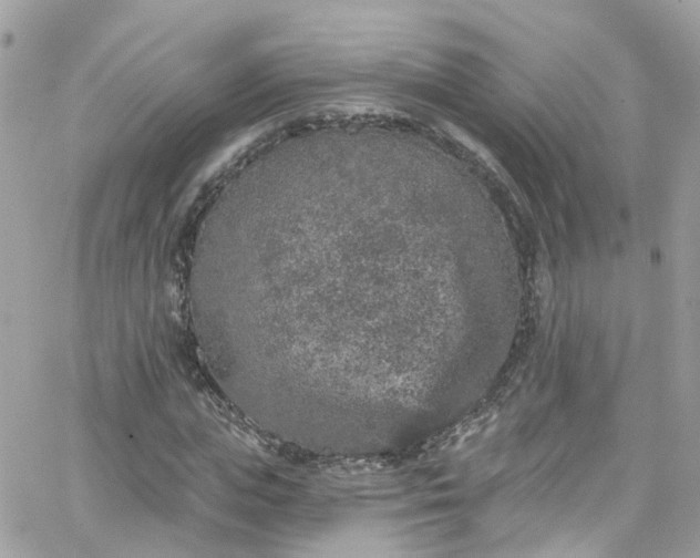 X0000066530823200603241359