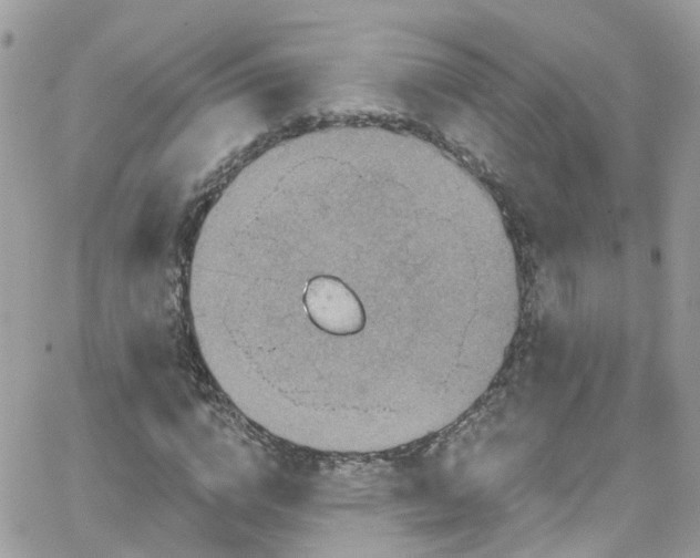 X0000066530824200603241359