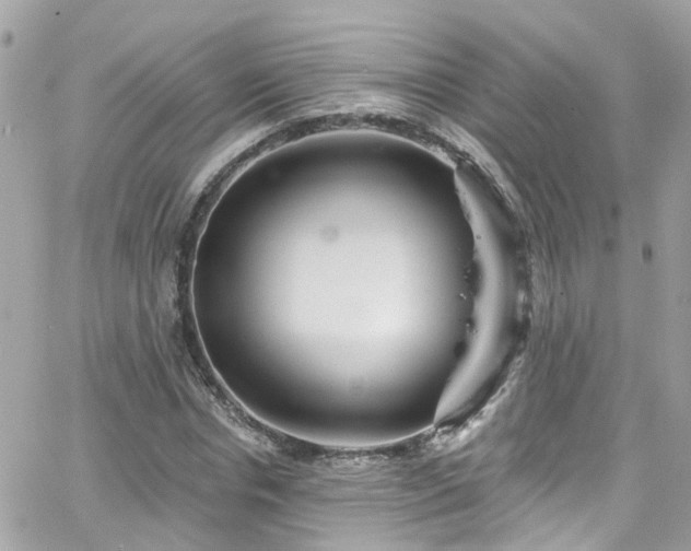 X0000066530826200603241359