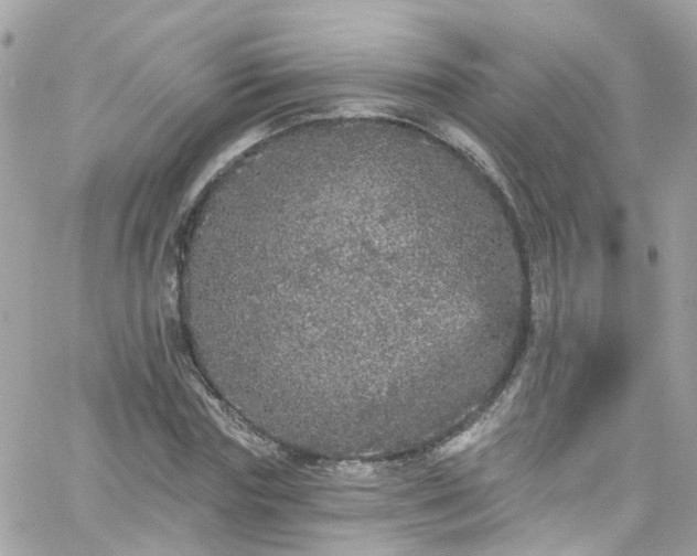 X0000066530827200603241359