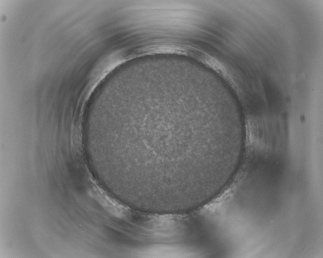 X0000066530828200603241359