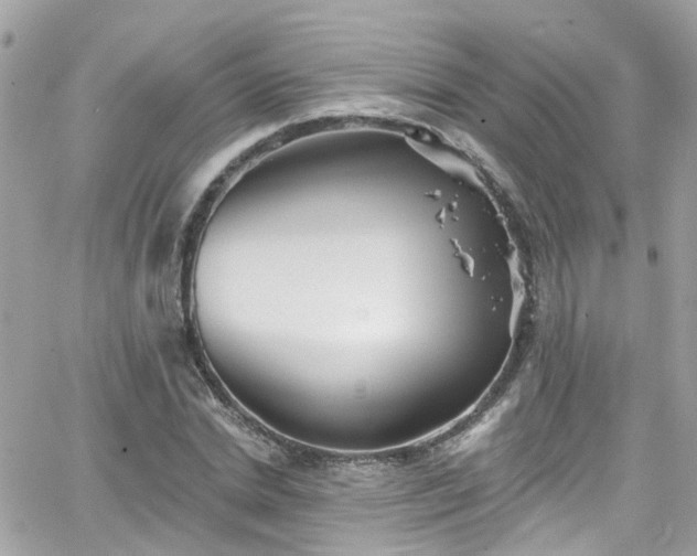 X0000066530830200603241359