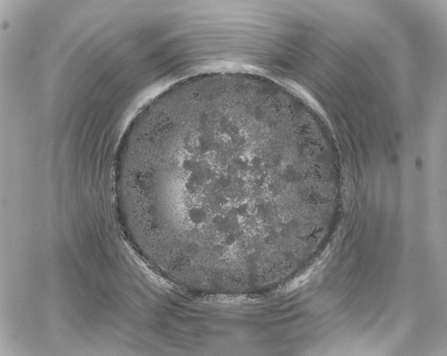 X0000066530831200603241359