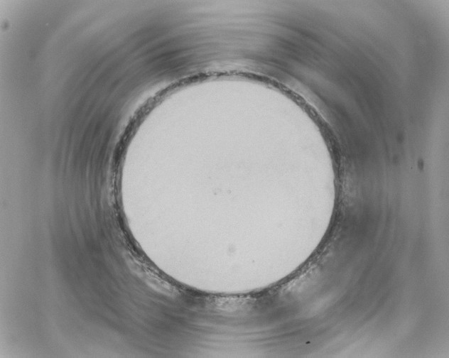 X0000066530832200603241359