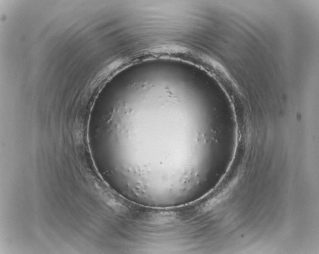 X0000066530833200603241359