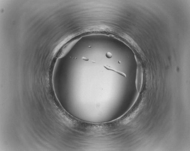 X0000066530834200603241359