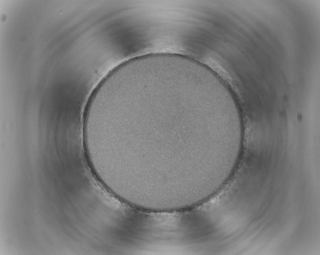 X0000066530836200603241359