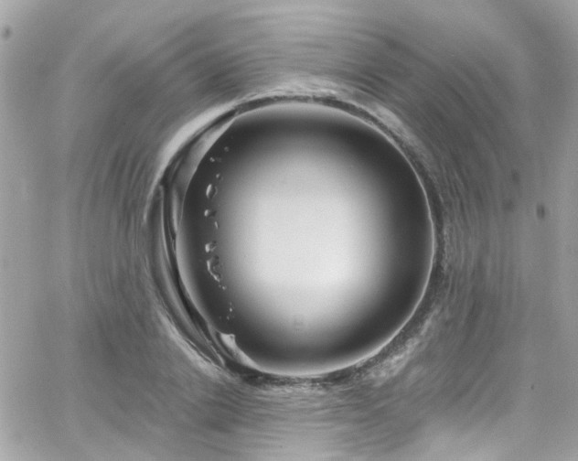 X0000066530838200603241359