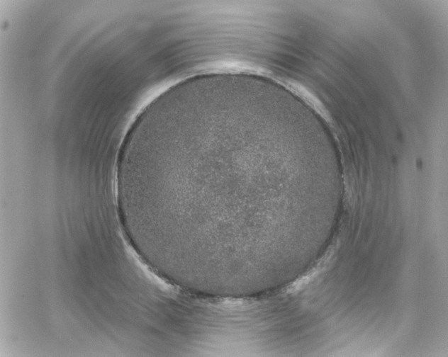 X0000066530839200603241359