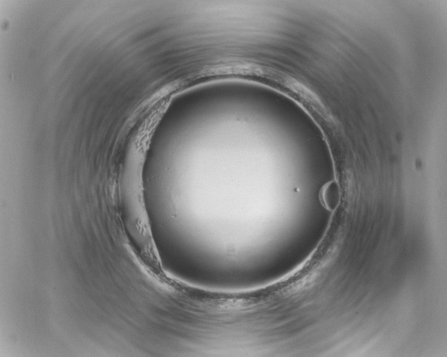 X0000066530841200603241359