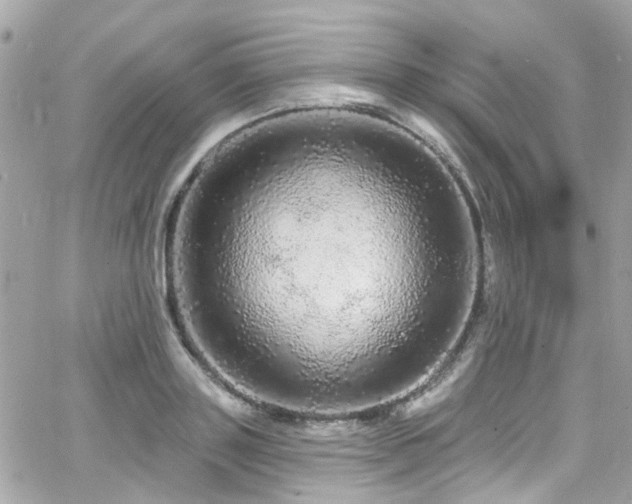 X0000066530843200603241359