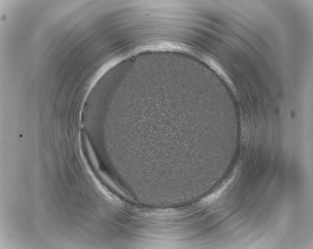 X0000066530845200603241400