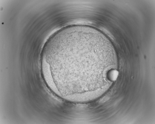 X0000066530848200603241400