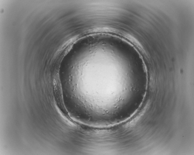 X0000066530849200603241400