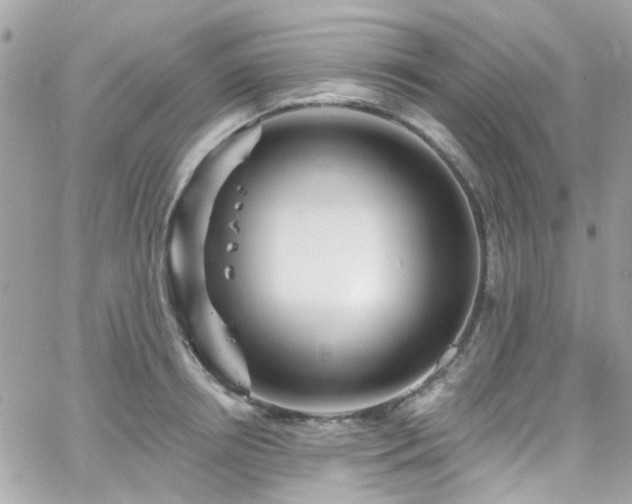 X0000066530850200603241400