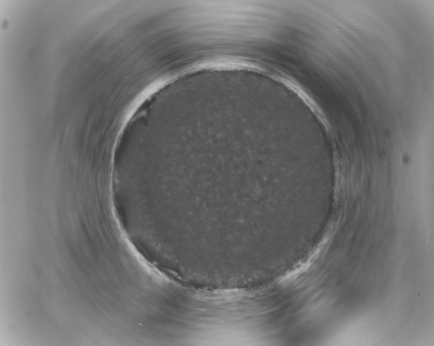 X0000066530853200603241400