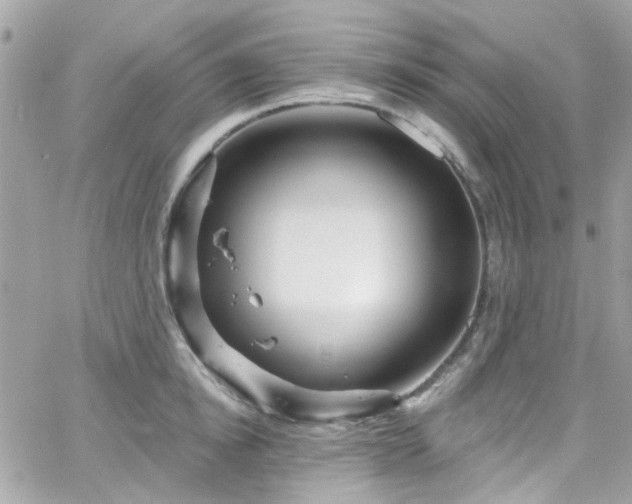 X0000066530854200603241400