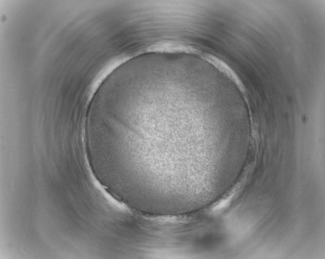 X0000066530855200603241400