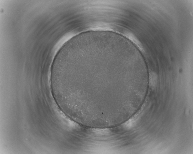 X0000066530856200603241400