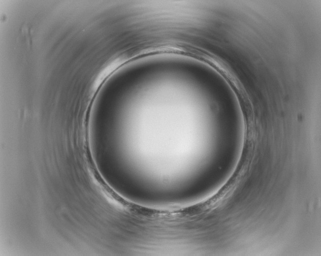 X0000066530858200603241400