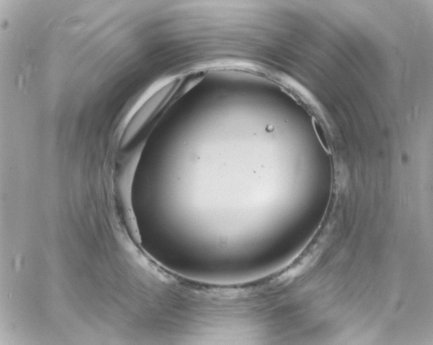 X0000066530860200603241400