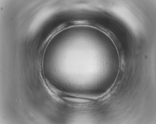 X0000066530861200603241400