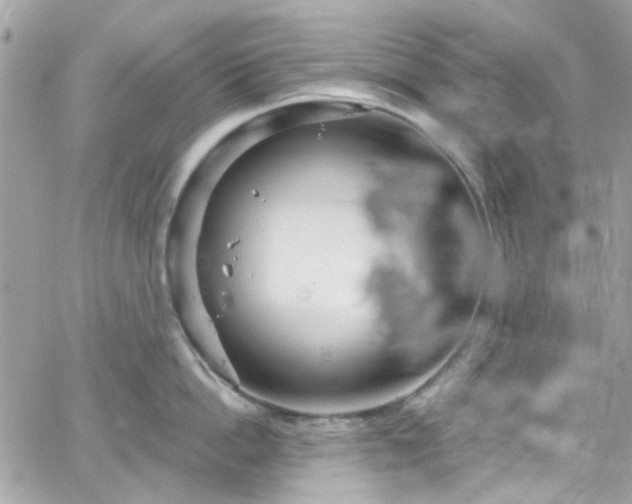 X0000066530862200603241400