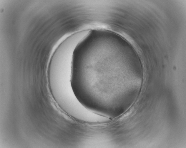 X0000066530864200603241400